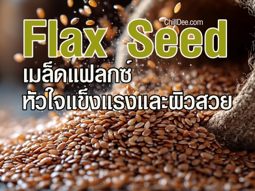 เมล็ดแฟลกซ์ (Flaxseed) หรือเมล็ดแฟล็กซ์ได้กลายเป็นหนึ่งในสุดยอดอาหารเสริมที่หลายคนต่างหันมาให้ความสำคัญ ด้วยคุณสมบัติที่หลากหลายและประโยชน์มากมายที่ไม่ควรมองข้าม