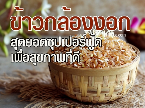ข้าวกล้องงอก สุดยอดซุปเปอร์ฟู้ดเพื่อสุขภาพที่ดี