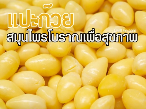 แปะก๊วย(Ginkgo Biloba) พืชสมุนไพรที่มีประวัติยาวนานกว่า 1,000 ปี มีถิ่นกำเนิดในประเทศจีน และถูกนำมาใช้เป็นยาสมุนไพรในตำรับยาจีนโบราณมานานหลายศตวรรษ
