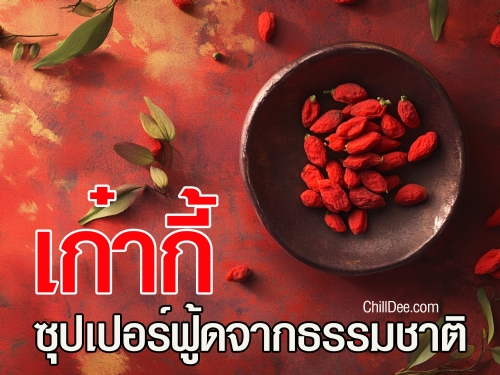 เก๋ากี้ ซุปเปอร์ฟู้ดจากธรรมชาติ เคล็ดลับสุขภาพดีจากตำนานสู่ปัจจุบัน