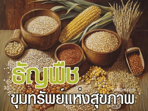 ธัญพืชเป็นอาหารที่มนุษย์บริโภคมาอย่างยาวนาน และในปัจจุบันได้รับความสนใจมากขึ้นในวงการสุขภาพและโภชนาการ ด้วยคุณค่าทางสารอาหารที่หลากหลายและประโยชน์ต่อสุขภาพ