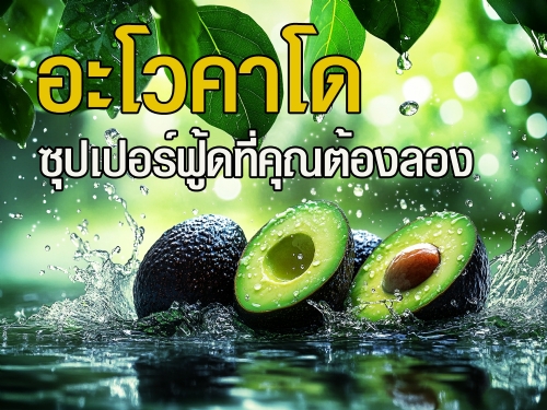 อะโวคาโดเป็นผลไม้ที่ขึ้นชื่อในหมู่คนรักสุขภาพทั่วโลก ด้วยรสชาติที่เป็นเอกลักษณ์ เนื้อสัมผัสนุ่มลิ้น และคุณค่าทางโภชนาการที่เต็มเปี่ยม ทำให้อะโวคาโดได้รับการยกย่องให้เป็นซุปเปอร์ฟู้ด