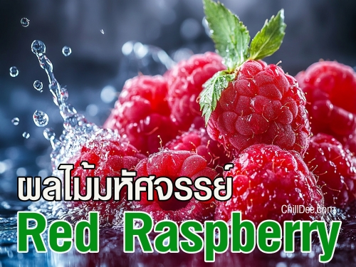 Red Raspberry หรือที่รู้จักกันในชื่อ ราสเบอร์รี่แดง เป็นผลไม้ขนาดเล็กสีแดงสดใสจากตระกูล Rosaceae ที่มีรสชาติหวานอมเปรี้ยว อุดมไปด้วยคุณประโยชน์อันล้นเหลือ จึงไม่น่าแปลกใจที่ราสเบอร์รี่แดงจะถูกขนานนามว่า 