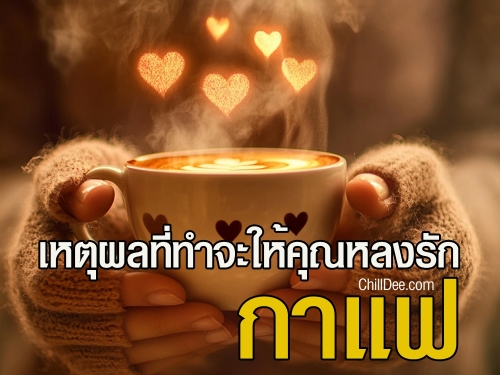 กาแฟไม่ใช่แค่เครื่องดื่มธรรมดา แต่มันคือศิลปะและวิถีชีวิต การดื่มกาแฟจึงกลายเป็นเรื่องที่หลายคนหลงรัก และไม่สามารถขาดได้ในแต่ละวัน วันนี้เราจะมาแชร์เหตุผลที่ทำให้การดื่มกาแฟเป็นสิ่งที่คุณต้องหลงรัก