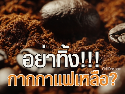 กากกาแฟที่เหลืออาจจะดูเหมือนขยะที่ไม่จำเป็น แต่คุณรู้หรือไม่ว่า กากกาแฟที่เราทิ้งไปนั้นสามารถนำกลับมาใช้ประโยชน์ได้อย่างมากมาย! วันนี้เราจะมาดูกันว่า กากกาแฟสามารถนำไปใช้ทำอะไรได้บ้างที่น่าสนใจและเป็นประโยชน์