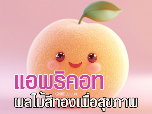 แอพริคอท(Apricot) เป็นผลไม้เมืองหนาวที่มีถิ่นกำเนิดจากแถบเอเชียกลางและจีน ผลขนาดเล็ก รูปทรงกลมรี ผิวเปลือกบางสีเหลืองทองถึงส้ม ภายในมีเนื้อฉ่ำ รสชาติหวานอมเปรี้ยวเล็กน้อย นอกจากความอร่อยแล้ว แอพริคอทยังอุดมไปด้วยสารอาหารที่เป็นประโยชน์ต่อร่างกาย